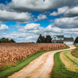 Venu Tummalapalli - A Rural Summer Scene