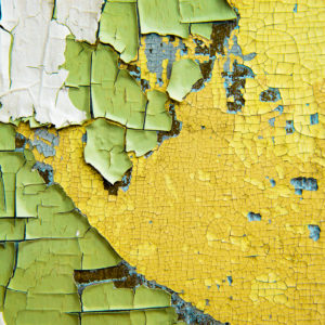 Nicole Wailly - Peel