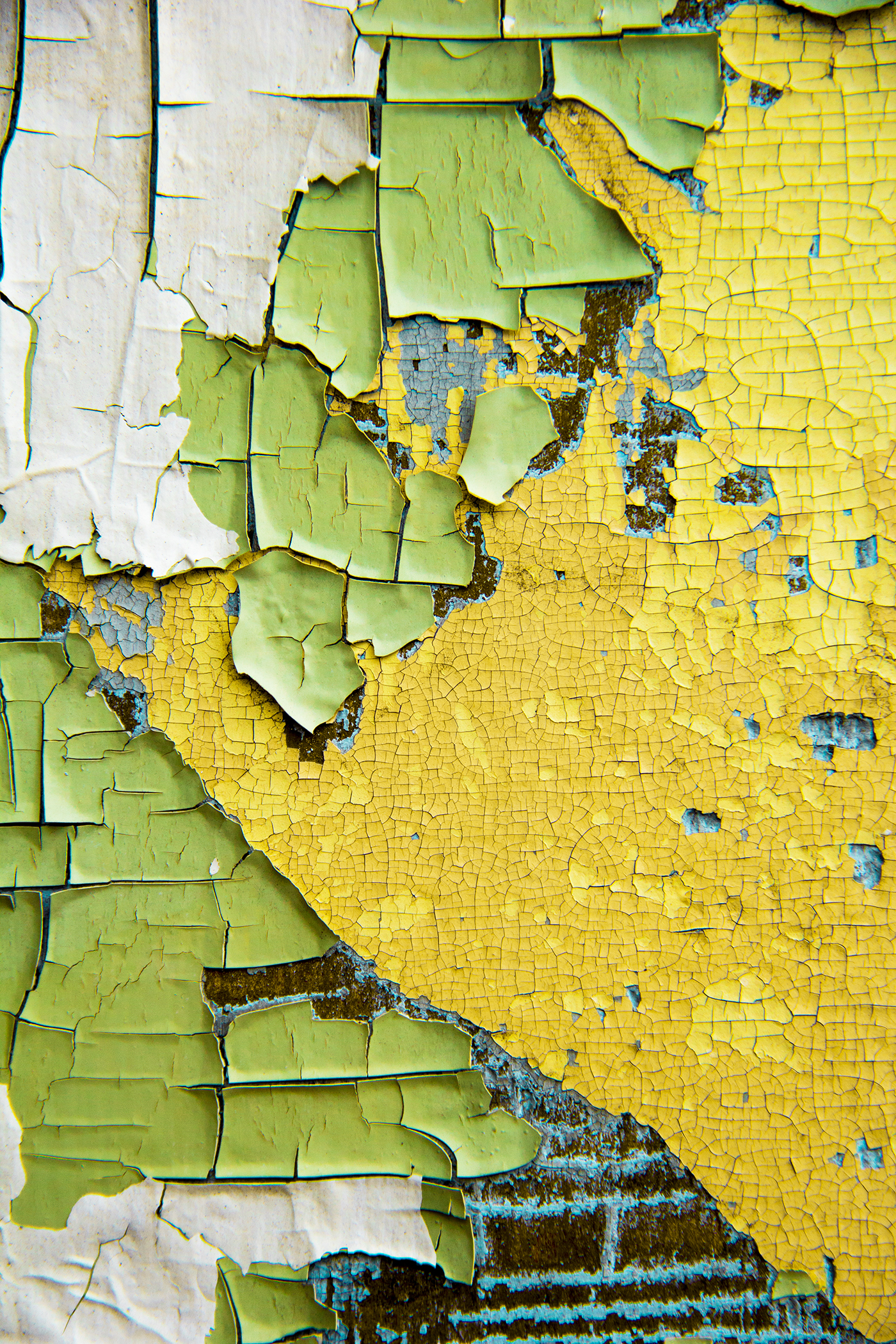 Nicole Wailly - Peel