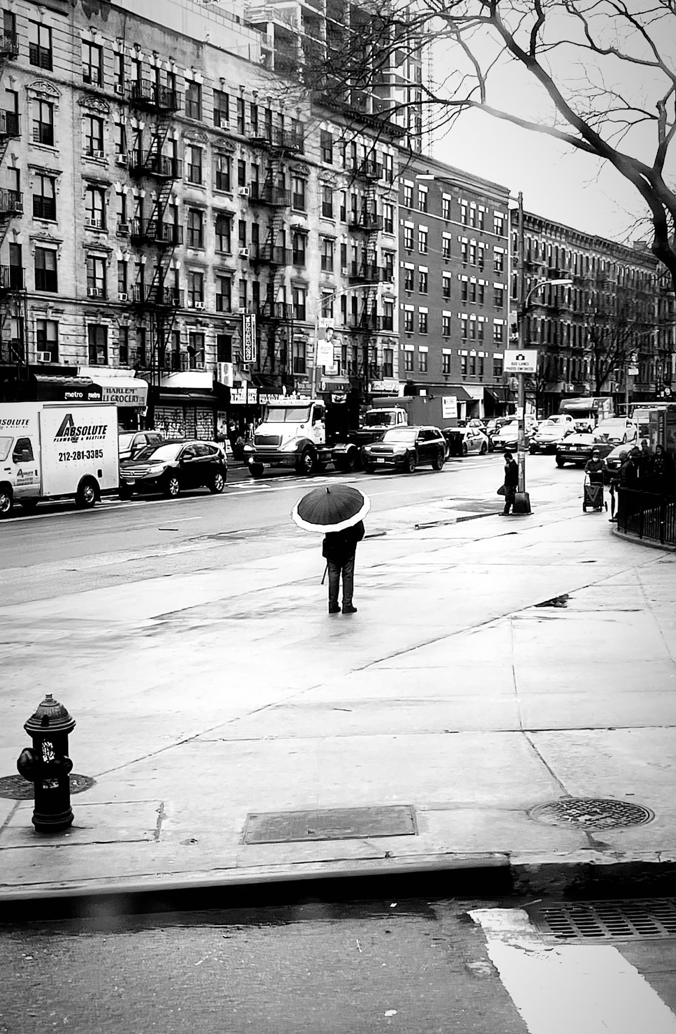 Dana Jensen - Coming Down