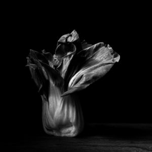 Kirsten Barry - Bok Choy