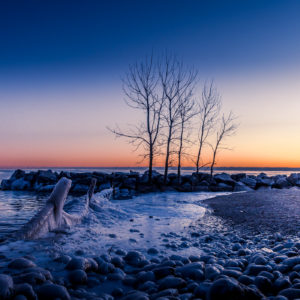 Venu Tummalapalli - Serenity