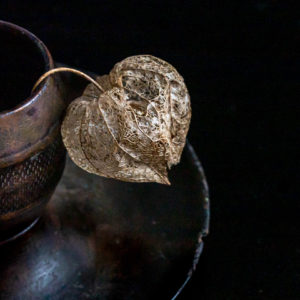 Kirsten Barry - Ground Cherry