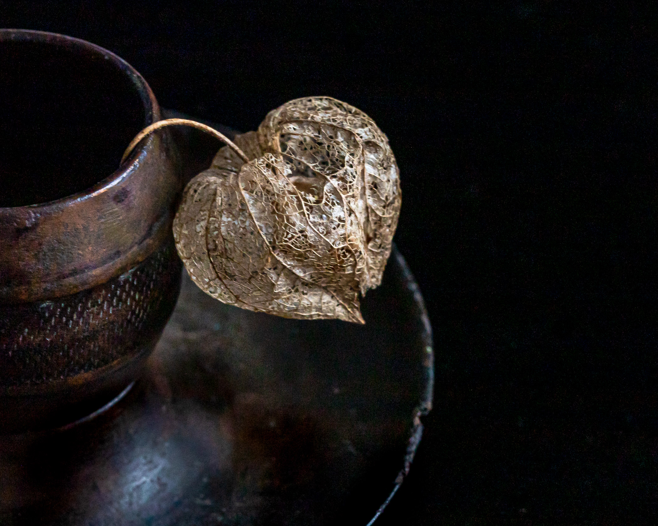 Kirsten Barry - Ground Cherry