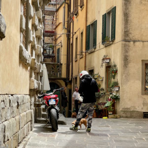 Marlene Frisbie - Ready to Ride