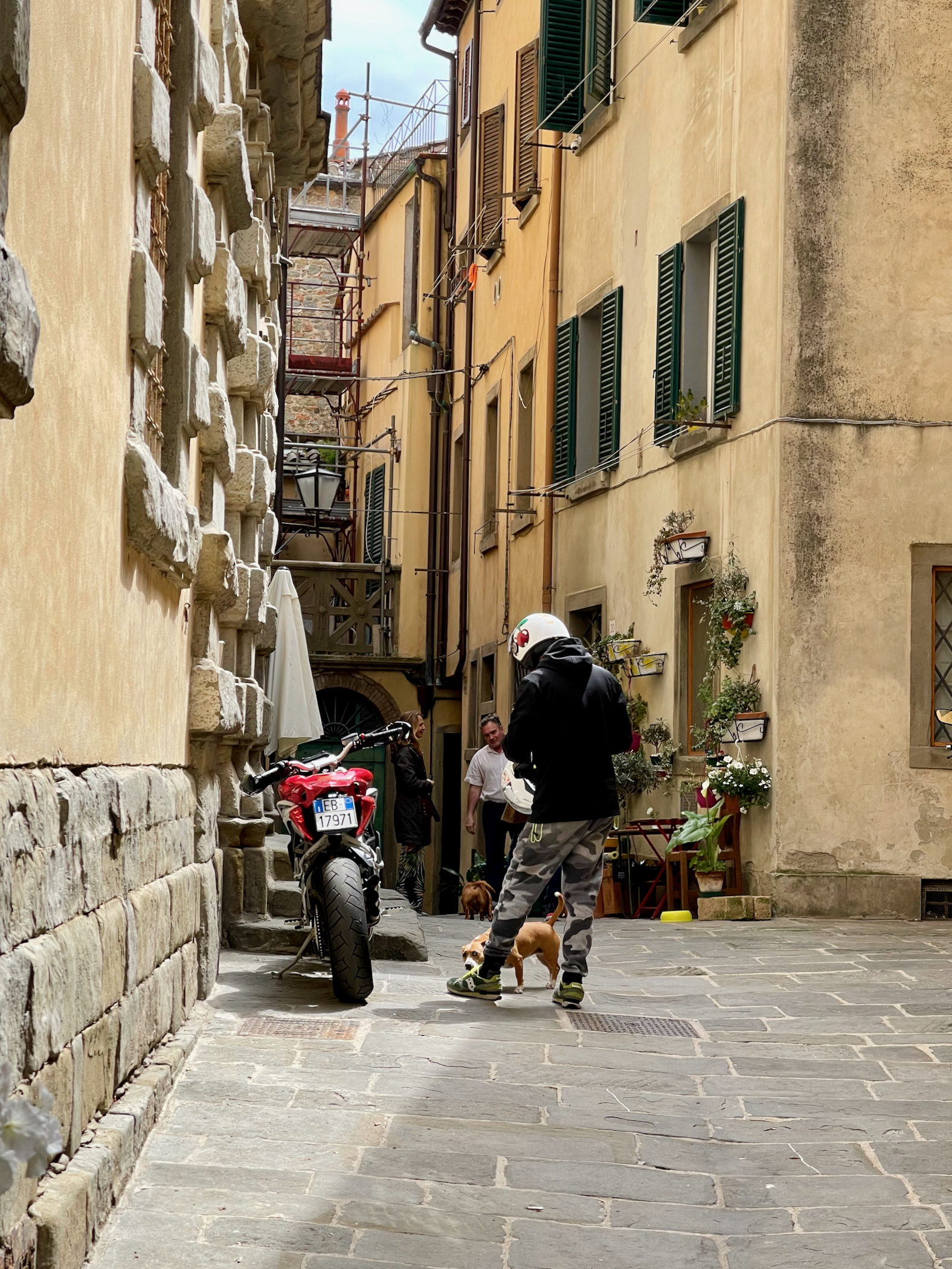 Marlene Frisbie - Ready to Ride