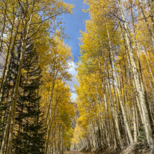 Scott Chism - Midland Trail Rd, CO