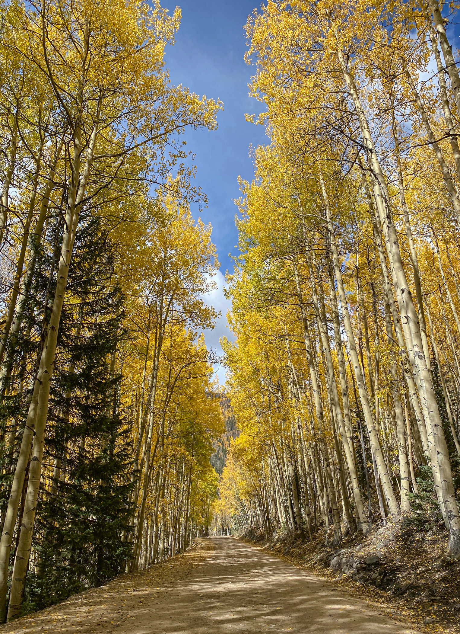 Scott Chism - Midland Trail Rd, CO
