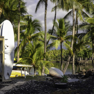 Jill Kaman - Surf's Up