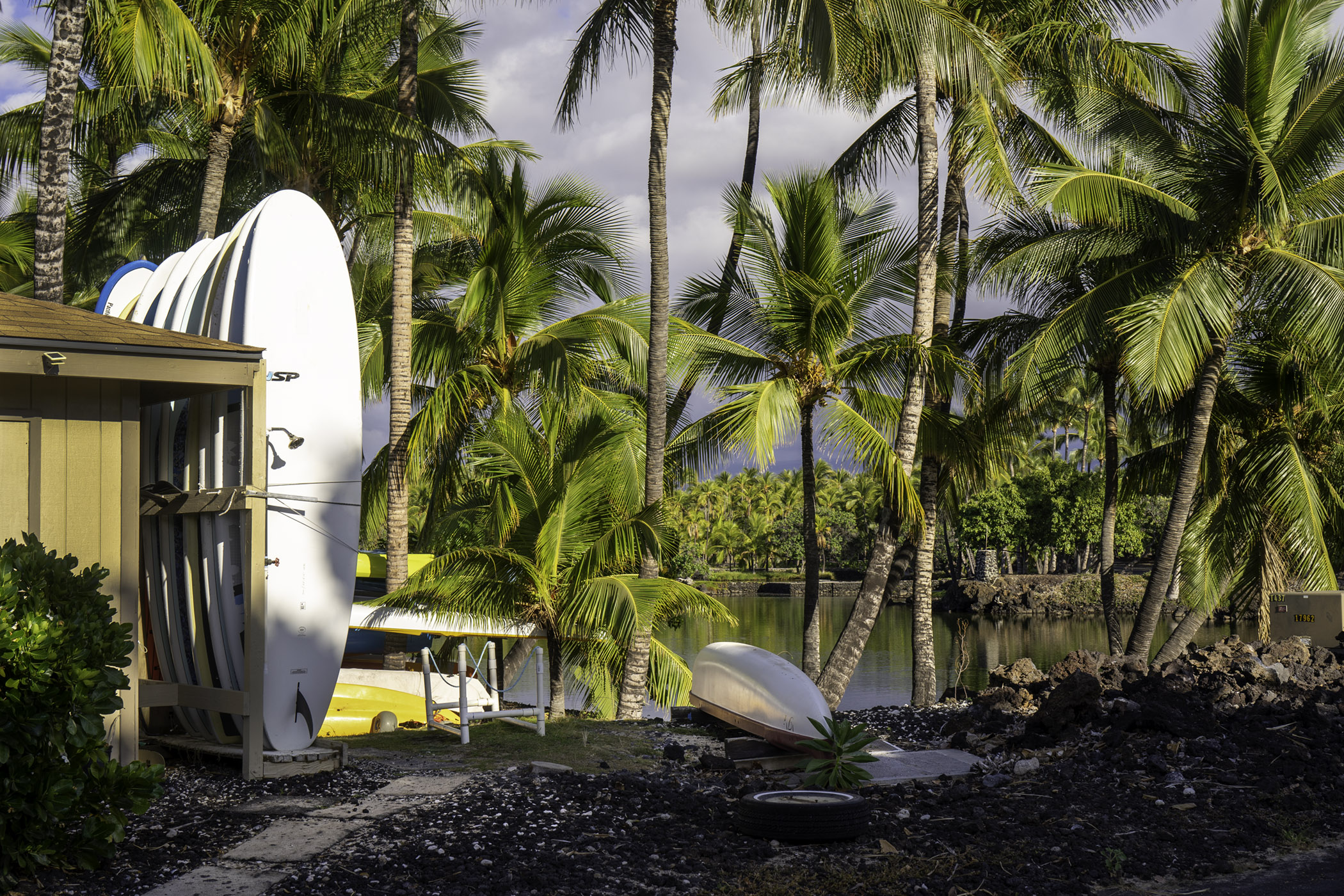 Jill Kaman - Surf's Up