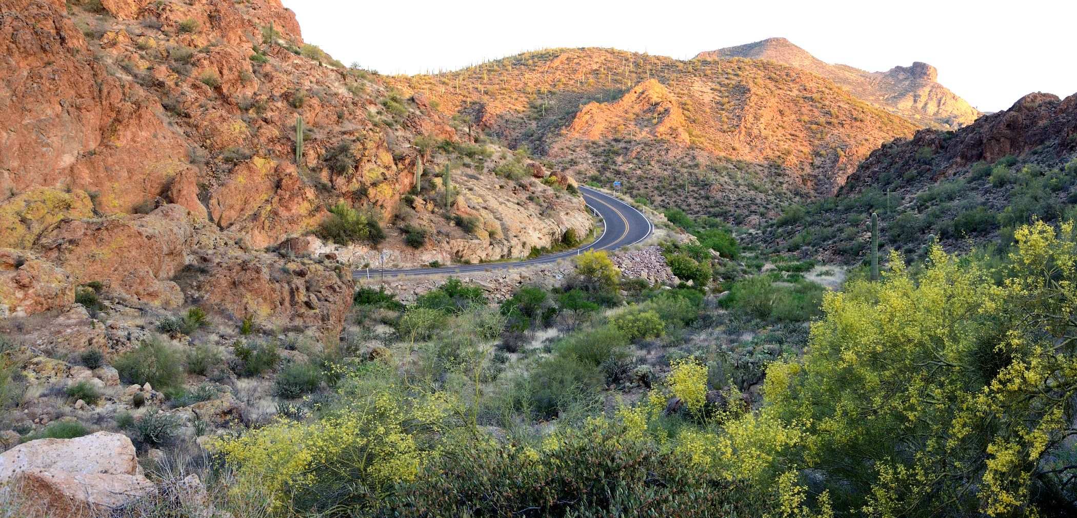 Brad Schmitt - White Knuckle Ride