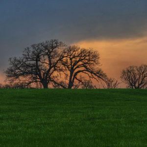 Rob Peterson - Two Toned Sky