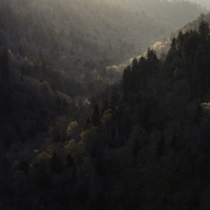 Kim Suedbeck - Mountain Views