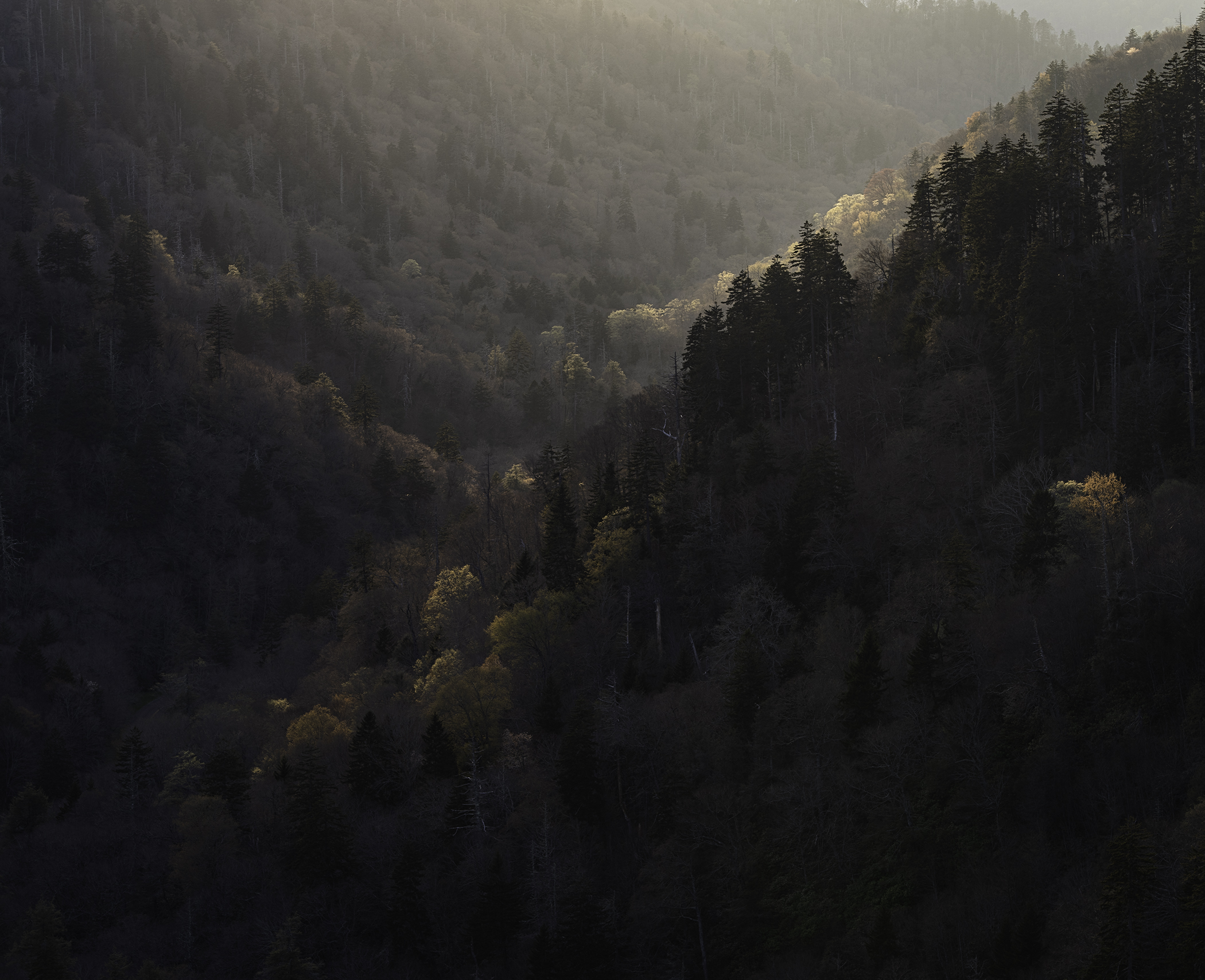 Kim Suedbeck - Mountain Views