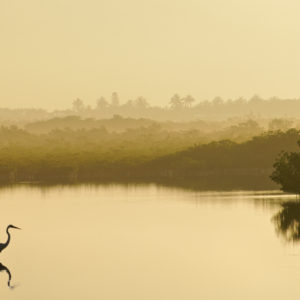 Skip Boyd - Before the Mangroves, Key West Florida