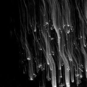 Diana Floress - Abstract