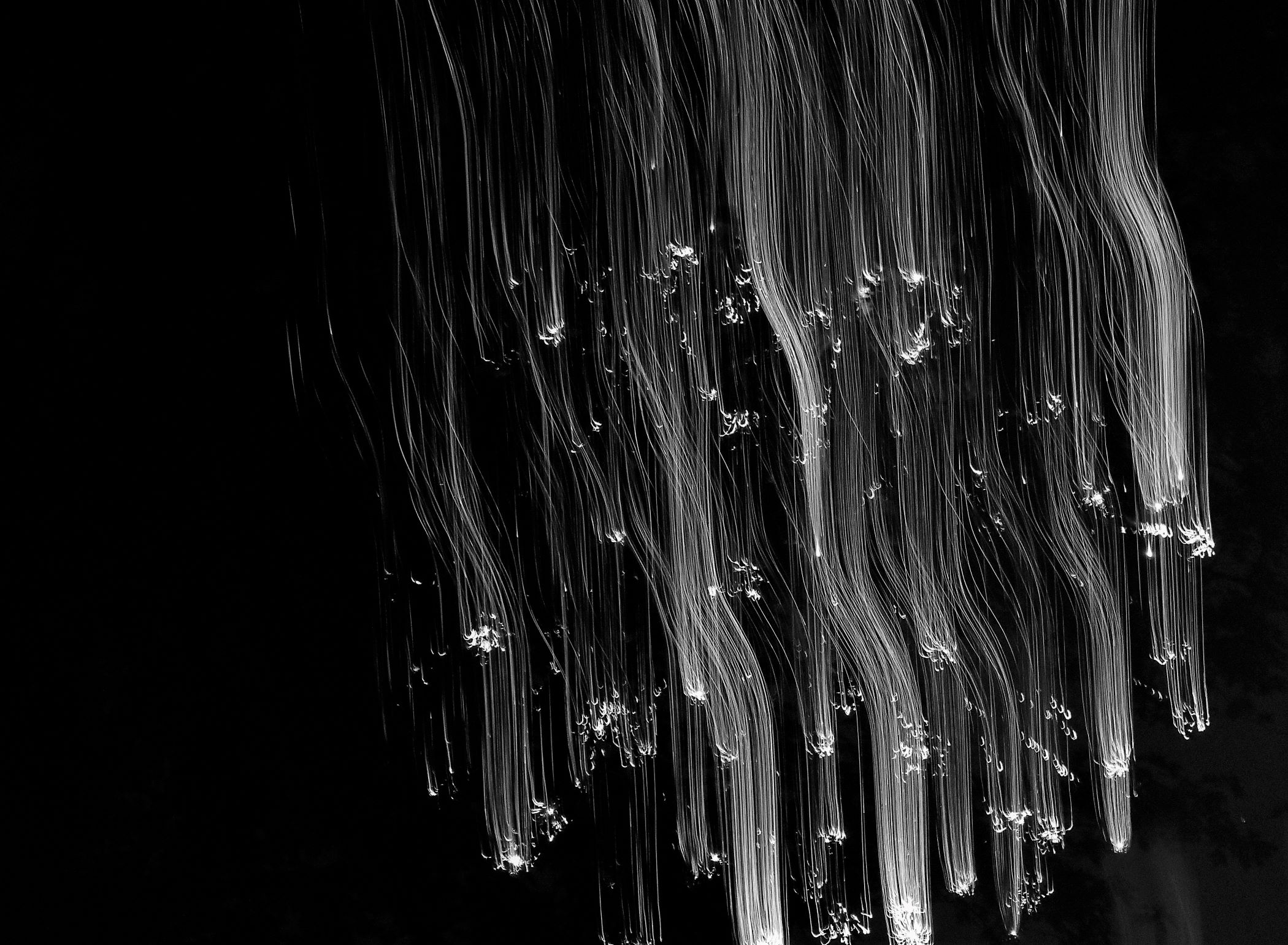 Diana Floress - Abstract