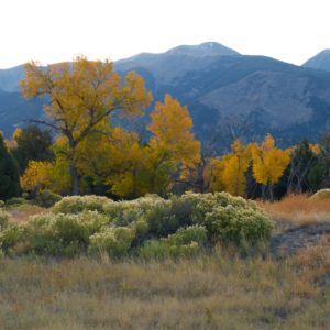 Marlene Frisbie - Colorado Layers