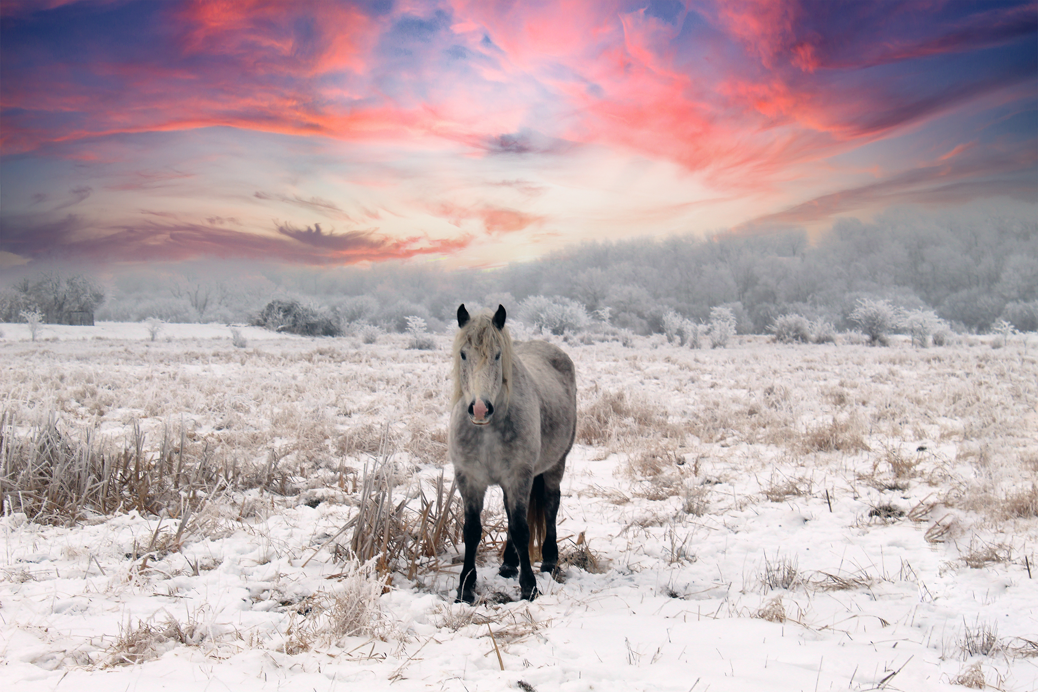 Amanda VerHagen - Sky's the Limit