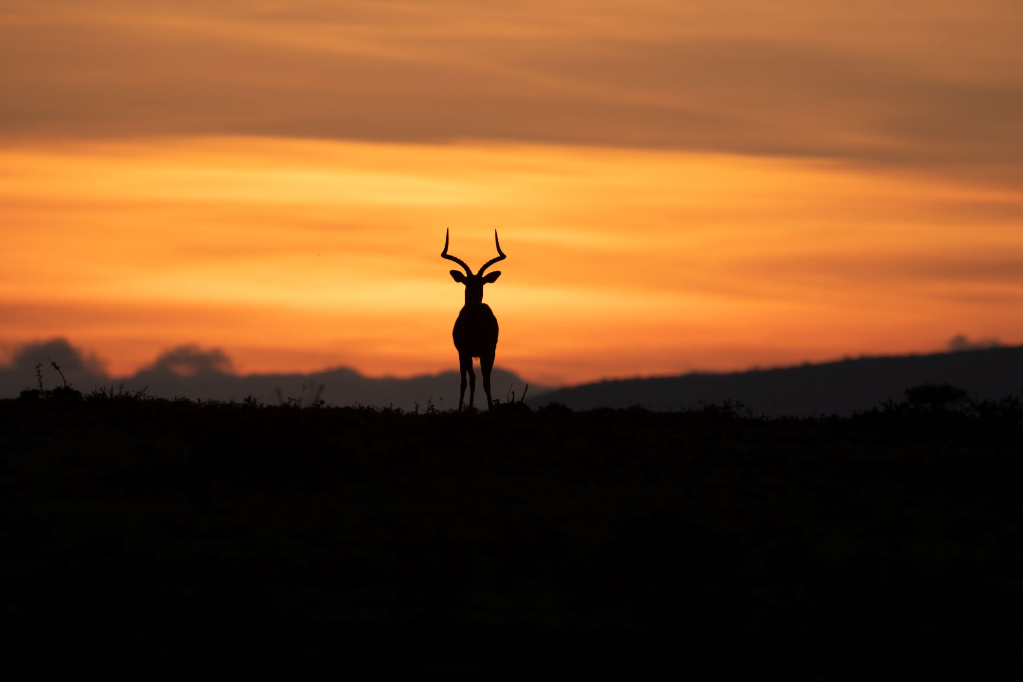Marianne Eshleman - On Top of the World