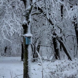 Pamela Hockmeyer - Air BnB