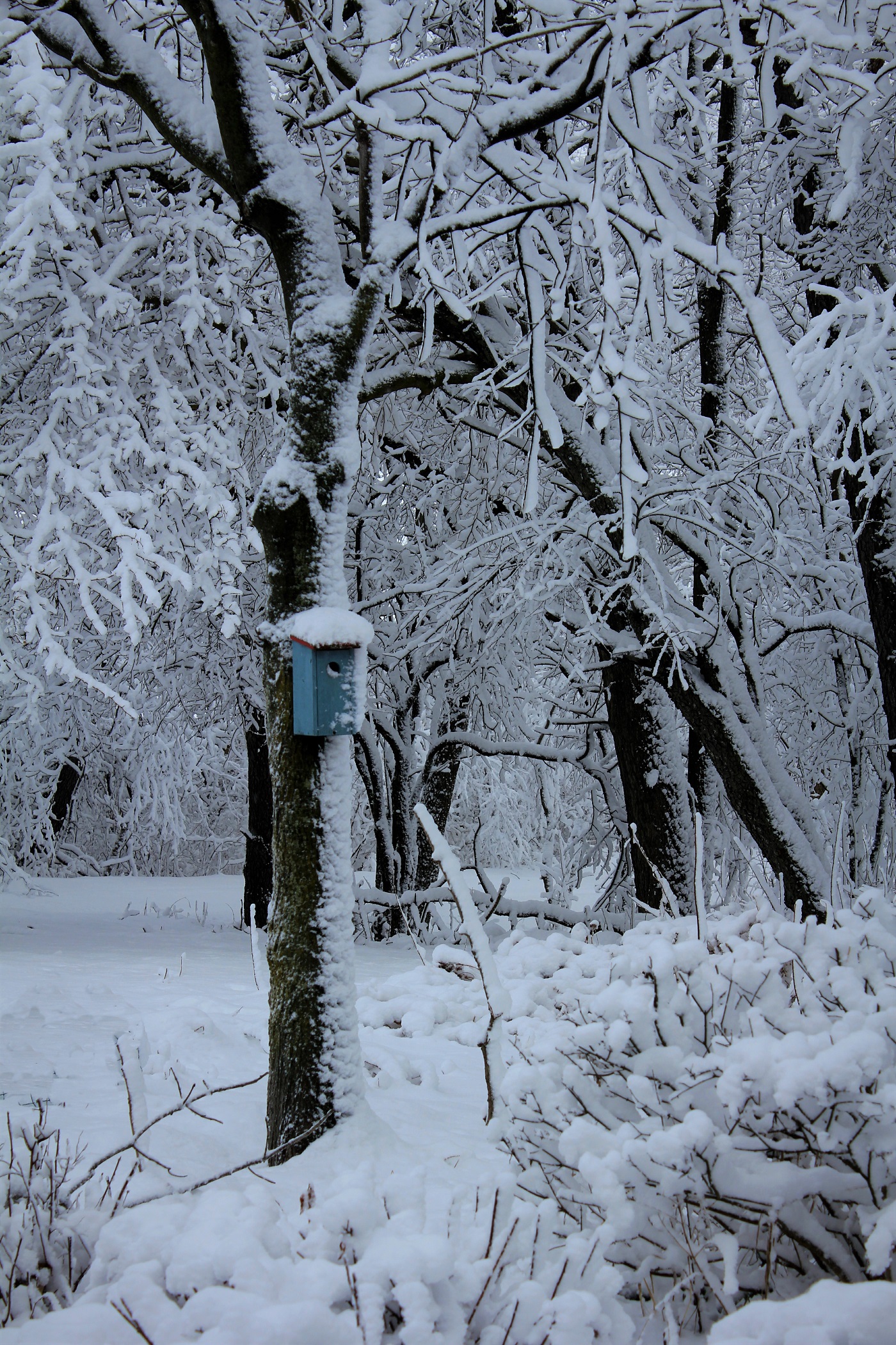 Pamela Hockmeyer - Air BnB