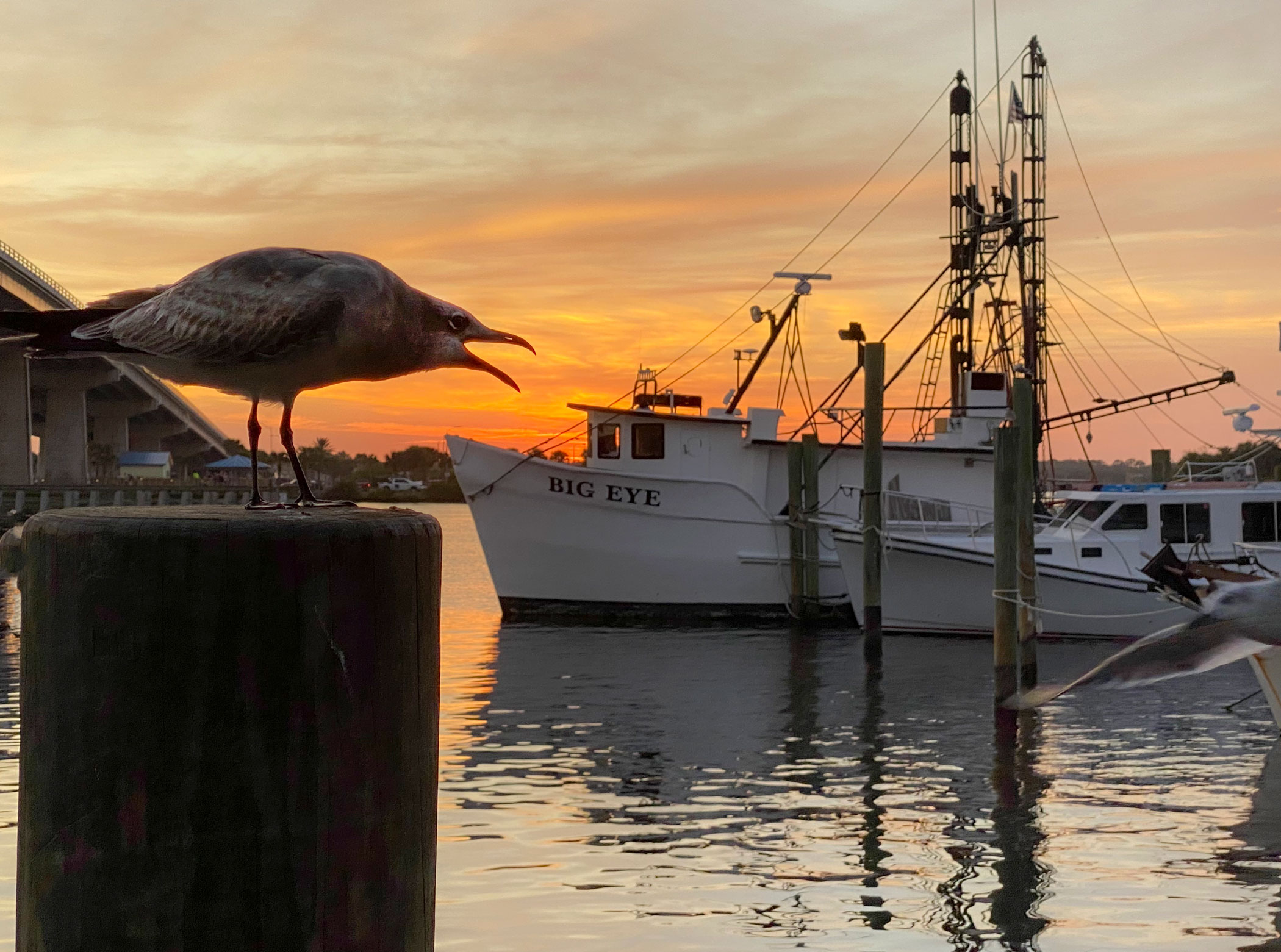 Rick Miller - Calling It a Day