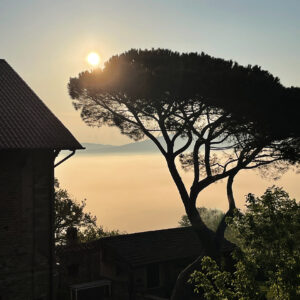 Pat Pfaller - Sunrise & Fog in Cortona