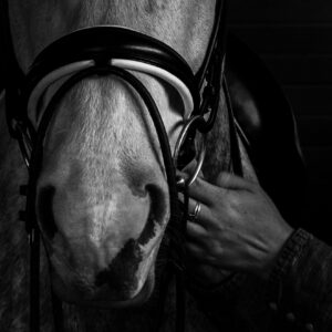 Kirsten Barry - Final Check