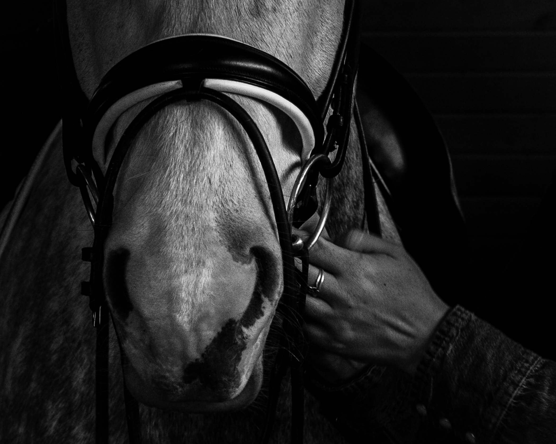 Kirsten Barry - Final Check