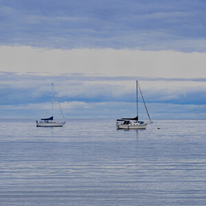 Bonnie Wemken - Blue