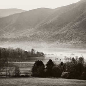 Kim Suedbeck - Morning Fog