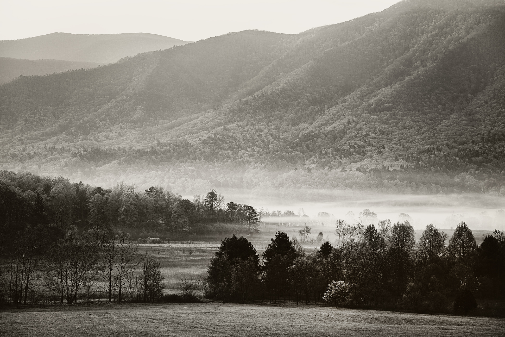 Kim Suedbeck - Morning Fog