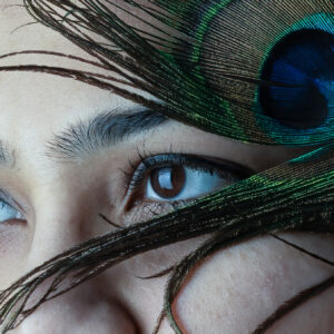 Venu Tummalapalli - Peacock Eyes