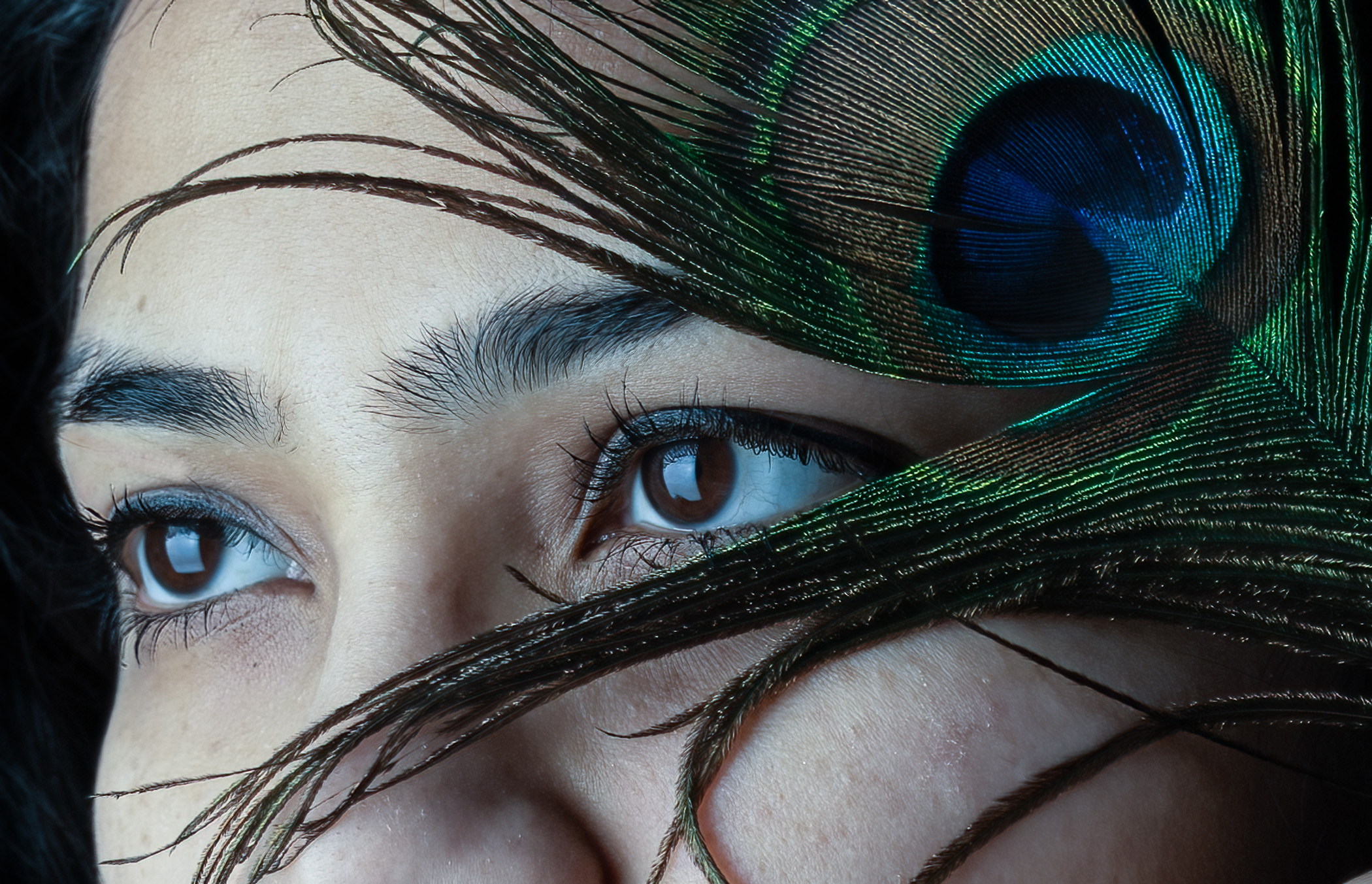 Venu Tummalapalli - Peacock Eyes