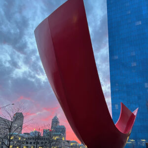Nancy Adami - Northern Cardinal Sighting