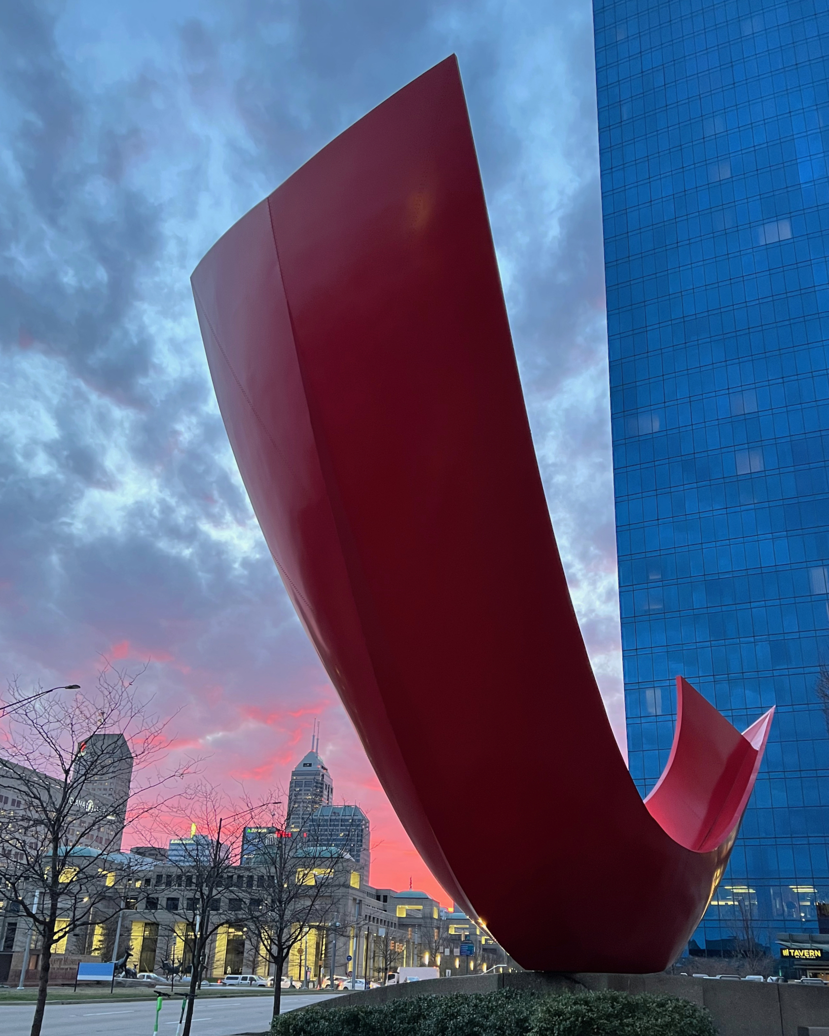 Nancy Adami - Northern Cardinal Sighting