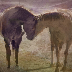 Steve Toole - Sweet Nothings