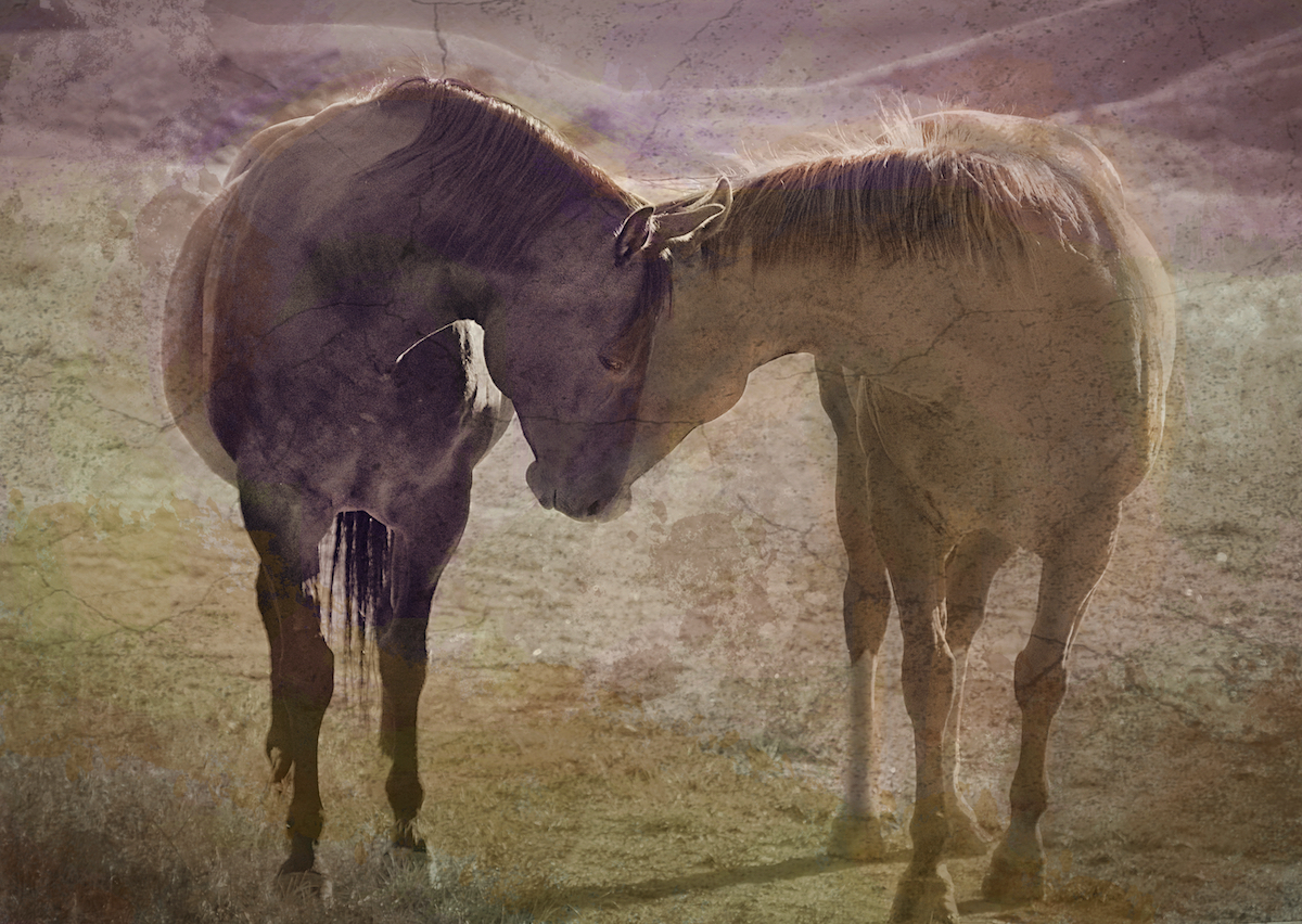 Steve Toole - Sweet Nothings