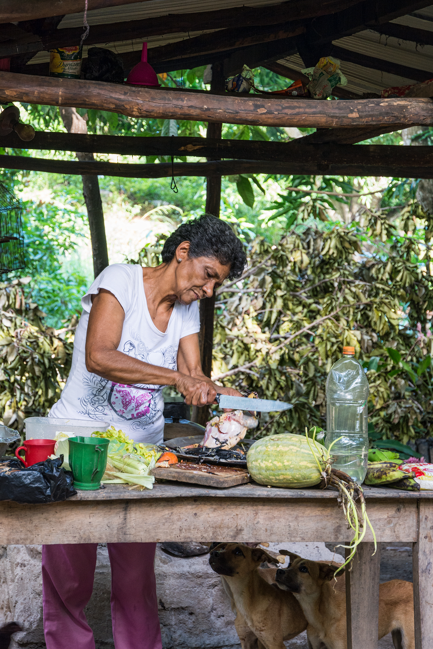 Mark Siragusa - Waiting for Sancocho