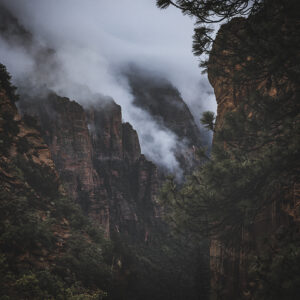 Adam Hallstrom - Scout Lookout Near Angel's Landing