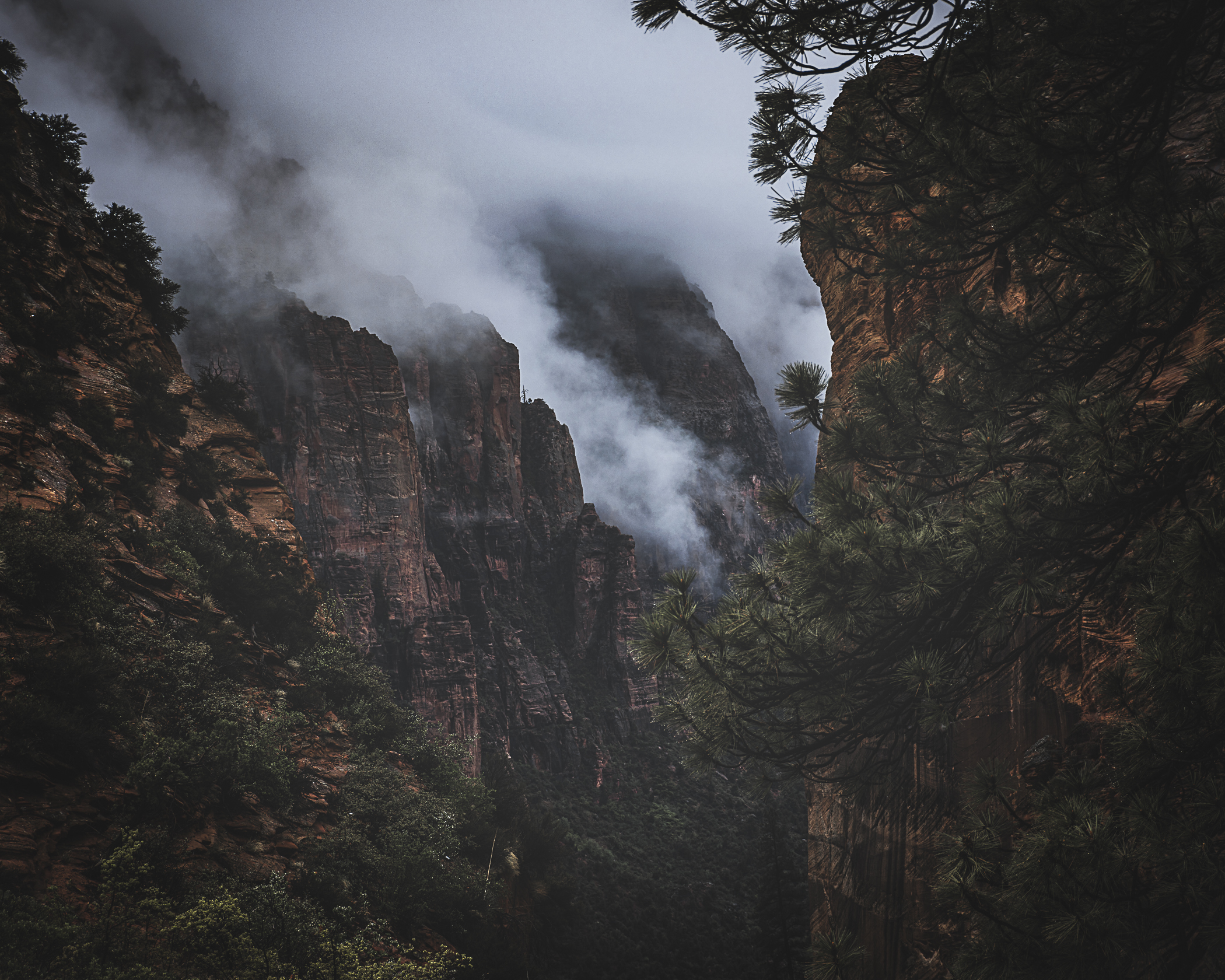 Adam Hallstrom - Scout Lookout Near Angel's Landing
