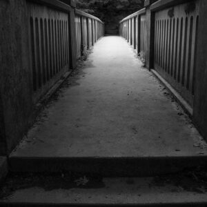 Patty Bell - The Path