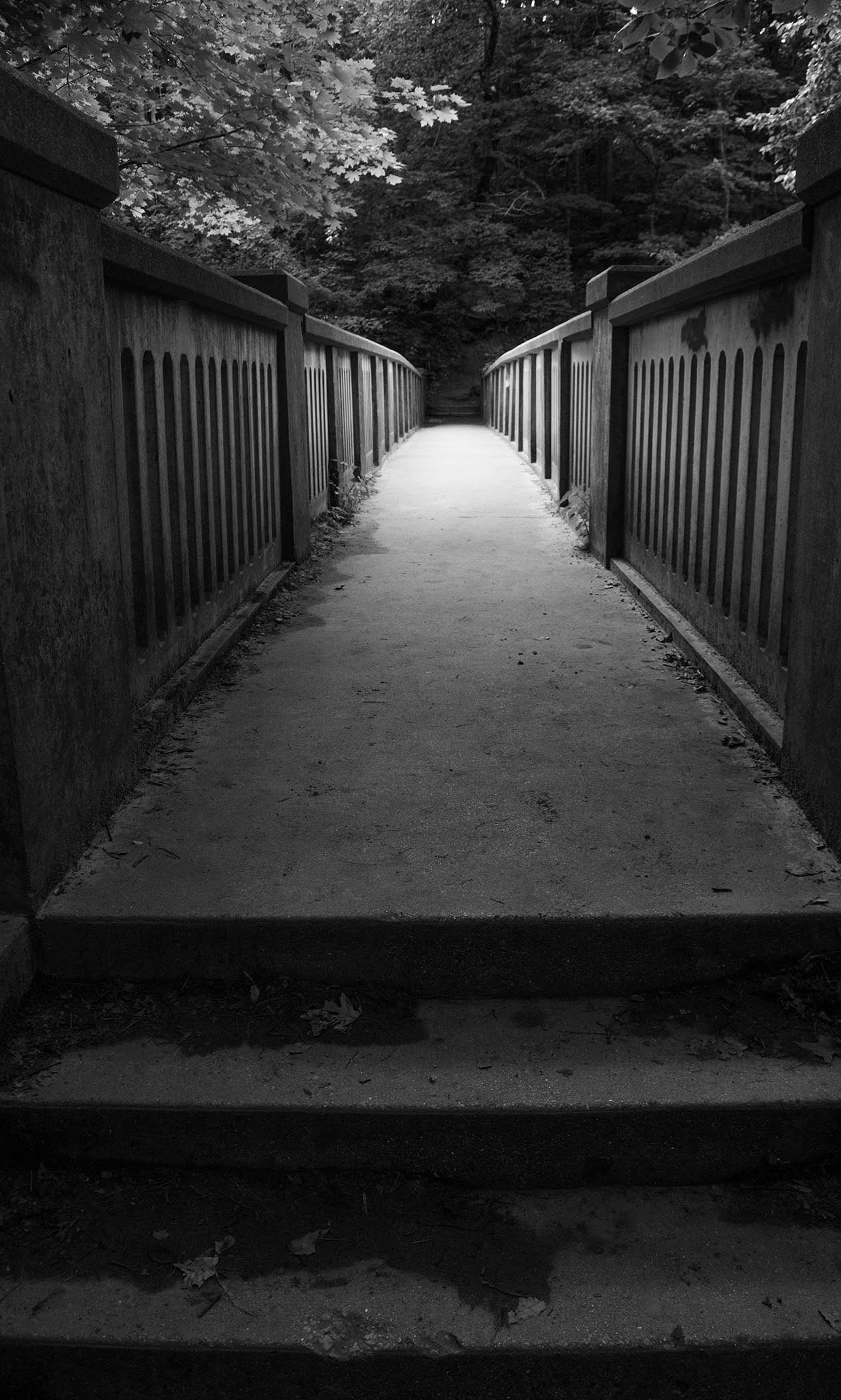 Patty Bell - The Path