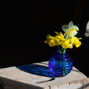 Sandy Ott - Blue and Yellow