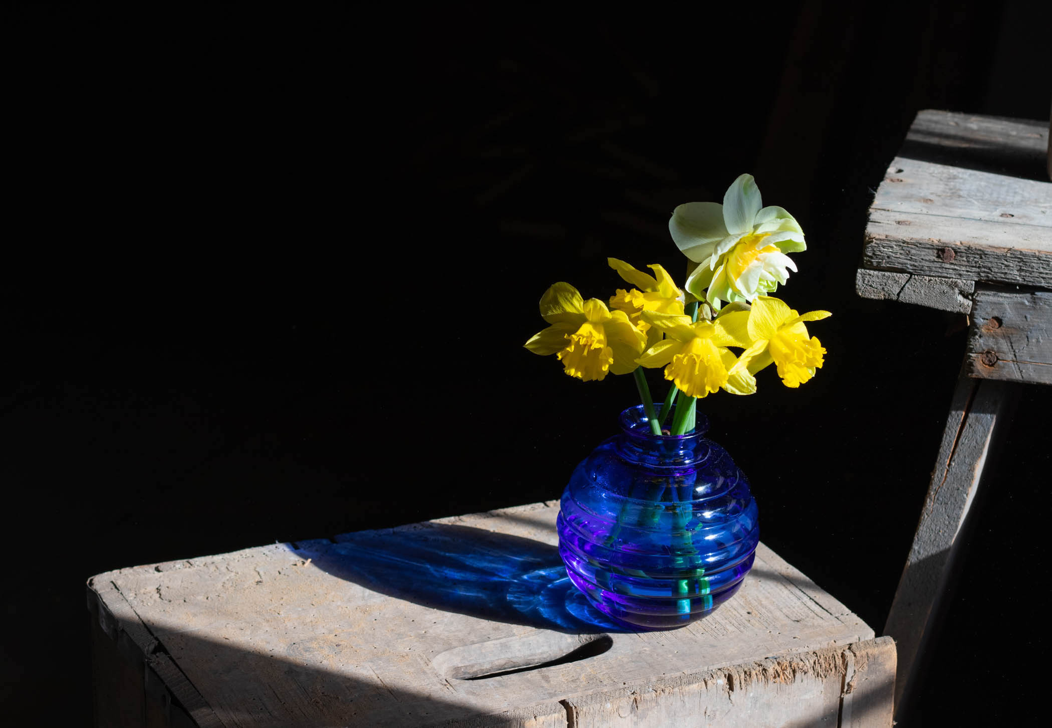 Sandy Ott - Blue and Yellow