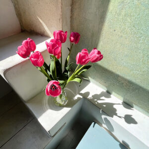 Pat Pfaller - Italian Tulips in Sunlight