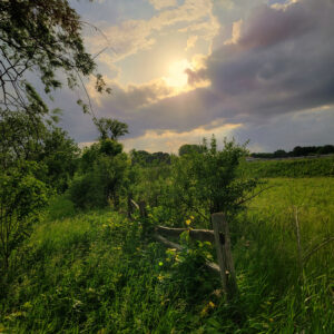 Rob Peterson - Break in the Clouds