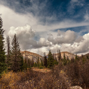 Scott Chism - Silence is Golden