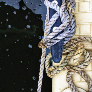 Kirsten Barry - The Dock